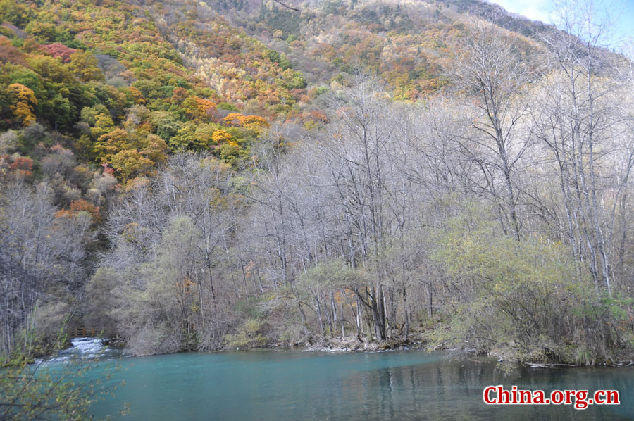 松坪沟位于茂县（四川最大的羌族聚居地）西北叠溪镇、松坪沟乡境内，因1933年8月15日一场7.5级的大地震形成的堰塞湖而成。叠溪—松坪沟风景区是世界上保存最完整的地震破坏遗址之一，160平方公里的范围内集群山、海子、原始森林、地震断裂残迹、羌族风情与民族历史文化教育遗存漂流于一体。[中国网 陈竹溪 摄]