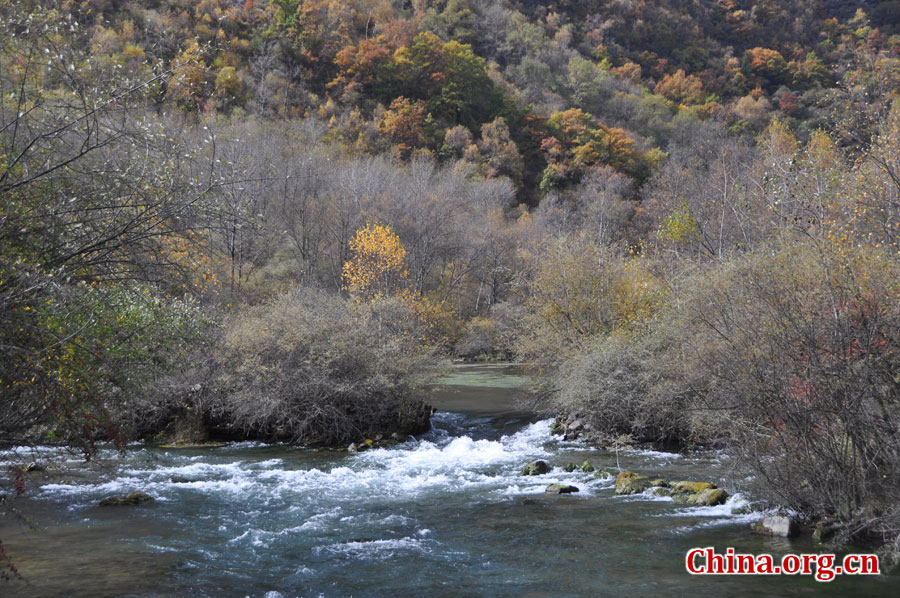 松坪沟位于茂县（四川最大的羌族聚居地）西北叠溪镇、松坪沟乡境内，因1933年8月15日一场7.5级的大地震形成的堰塞湖而成。叠溪—松坪沟风景区是世界上保存最完整的地震破坏遗址之一，160平方公里的范围内集群山、海子、原始森林、地震断裂残迹、羌族风情与民族历史文化教育遗存漂流于一体。[中国网 陈竹溪 摄]