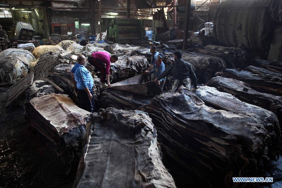 Egyptians work at a leather tanning factory in Cairo, Egypt, on Dec. 20, 2014. The annual revenue of Egyptian exported leather products reaches hundreds millions of U.S. dollars. [Photo/Xinhua] 