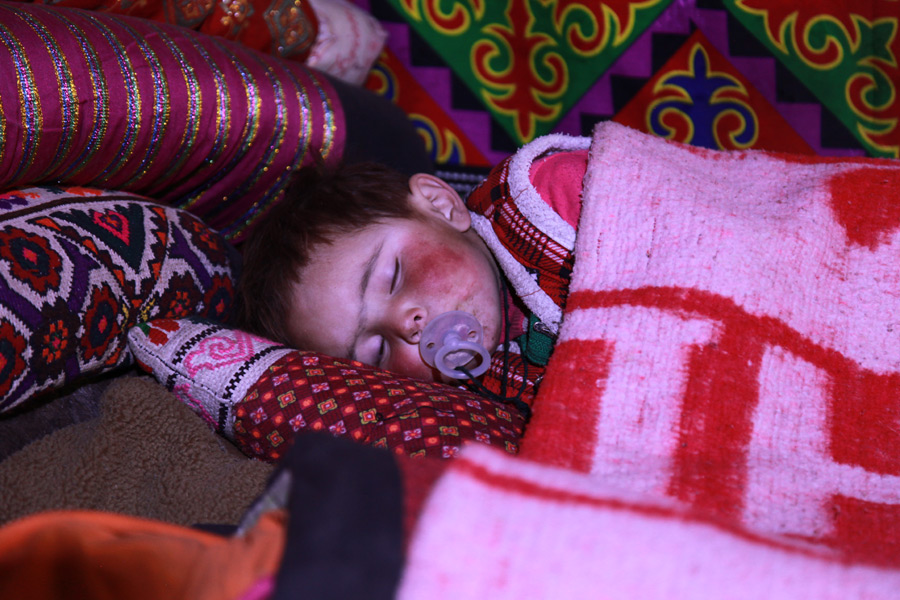 Gulaxiami sleeps covered with a colorful blanket. [Photo by Wang Lie/chinadaily.com.cn]