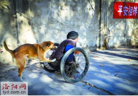 The dog pushes its handicapped owner, who is on a wheeled vehicle, forward with its forelimbs in Luoyang, Central China's Henan province, on Thursday. 
