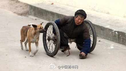 An old Chinese saying goes that a dog never detests its owner's poverty. This dog not only loves its poor owner, but also helps him.