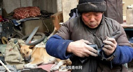 An old Chinese saying goes that a dog never detests its owner's poverty. This dog not only loves its poor owner, but also helps him. 