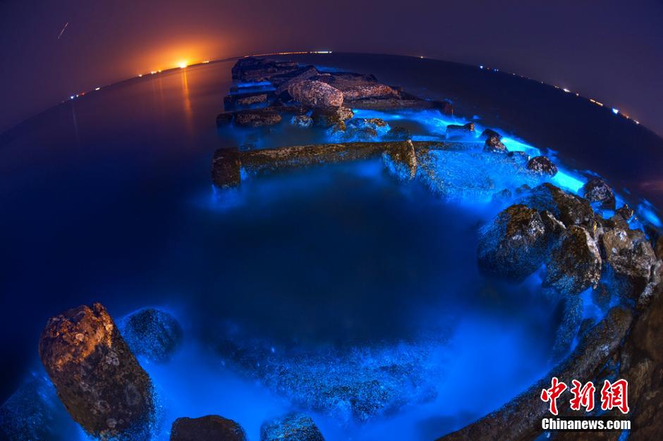 Blueing seawater is seen at nights in the sea off the coast of Dongying, east China's Shandong Province. [Photo/Chinanews.com]