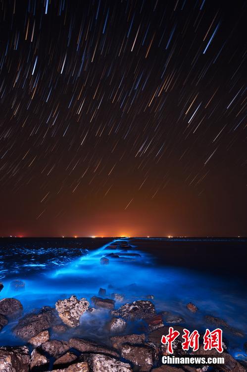 Blueing seawater is seen at nights in the sea off the coast of Dongying, east China's Shandong Province. [Photo/Chinanews.com]