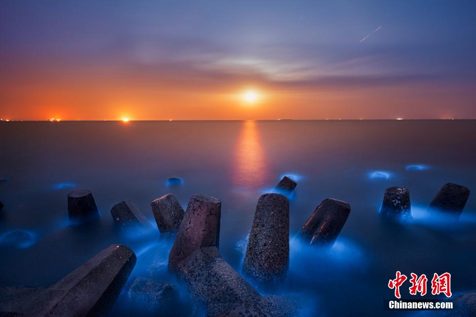 Blueing seawater is seen at nights in the sea off the coast of Dongying, east China's Shandong Province. [Photo/Chinanews.com]