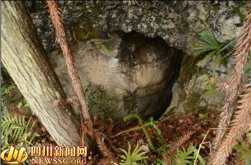 A 78-year-old woman managed to survive seven days and nights by only licking water off a rock after she slipped into a 20-meter-deep hole in Dazhou, Southwest China's Sichuan province. 
