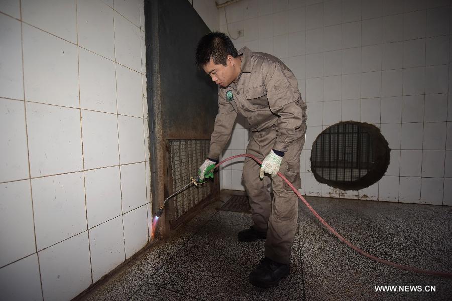 A working staff member sterilizes the living environment of giant panda at the Bifeng Gorge Base of China Conservation and Research Center for the Giant Panda (CCRCGP) in Ya'an City, southwest China's Sichuan Province, Jan. 8, 2014. The CCRCGP has done lots of canine distemper control and prevention work recently to make sure the safety of giant panda population. [Photo/Xinhua]