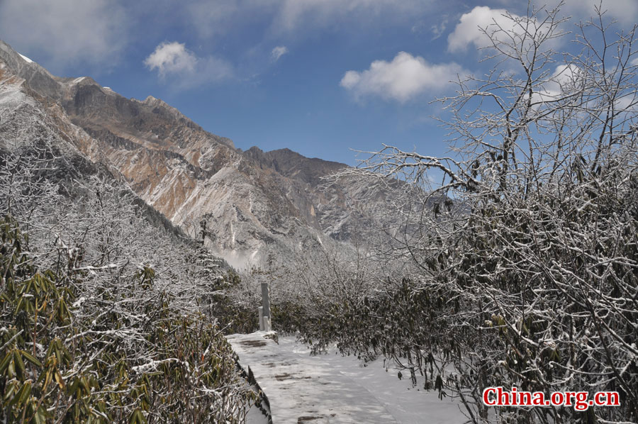 海螺沟冰川森林公园位于四川省甘孜藏族自治州的贡嘎山，是目前世界上已发现的为数极少的低纬度、低海拔且最易接近的现代冰川之一。攀登冰川顶岭，一路可见无数的冰洞、冰湖、冰蘑菇、冰门、冰梯、冰人、冰兽等，仿佛置身于一个奇妙绝伦的冰世界。[中国网 陈竹溪 摄]