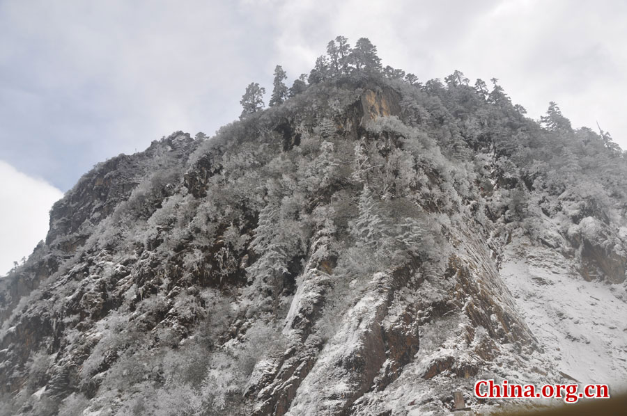 海螺沟冰川森林公园位于四川省甘孜藏族自治州的贡嘎山，是目前世界上已发现的为数极少的低纬度、低海拔且最易接近的现代冰川之一。攀登冰川顶岭，一路可见无数的冰洞、冰湖、冰蘑菇、冰门、冰梯、冰人、冰兽等，仿佛置身于一个奇妙绝伦的冰世界。[中国网 陈竹溪 摄]