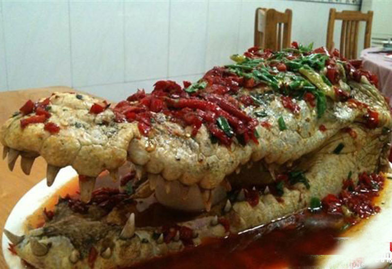 A crocodile is served as food at a recent wedding banquet in Xiaoshan city, east China's Zhejiang province. [Photo: Southcn.com]