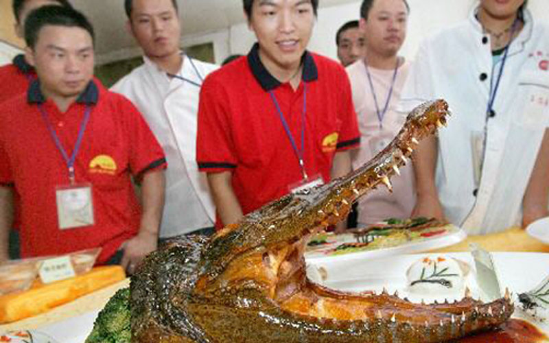 A crocodile is served as food at a recent wedding banquet in Xiaoshan city, east China's Zhejiang province. [Photo: Southcn.com]