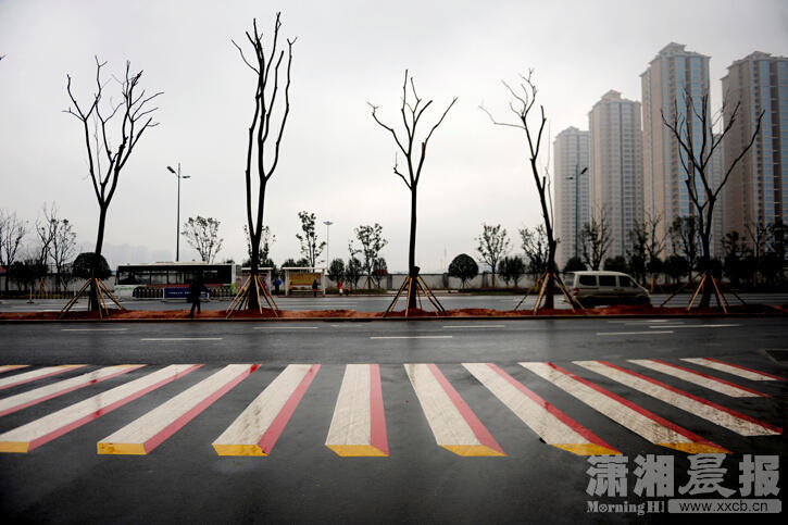 Photo taken on Jan. 28, 2015 shows the colorful 3D zebra crossing on Kaiyuan West Road in Changsha, capital of central China's Hunan Province.