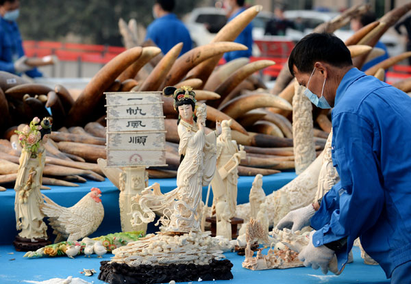 Agencies curtail ivory smuggling