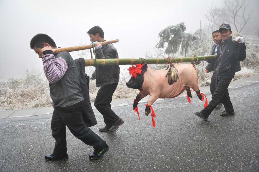 Local people hike home carrying various festival foods for the upcoming Lunar New Year on the slick highway after an ice storm in Leishan county, Qiandongnan Miao and Dong autonomous prefecture, in Guizhou province. Chen Peiliang / China Daily