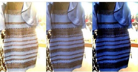 裙子的不同颜色对比。