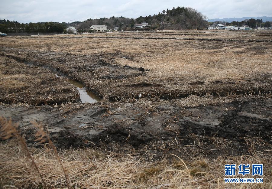 Damaged fields and houses are seen in the Futaba District, located well within the 20-kilometer exclusion radius around the leaking facilities of Fukushima Daiichi nuclear power plant, in Fukushima Prefecture, Japan, March 7, 2015.