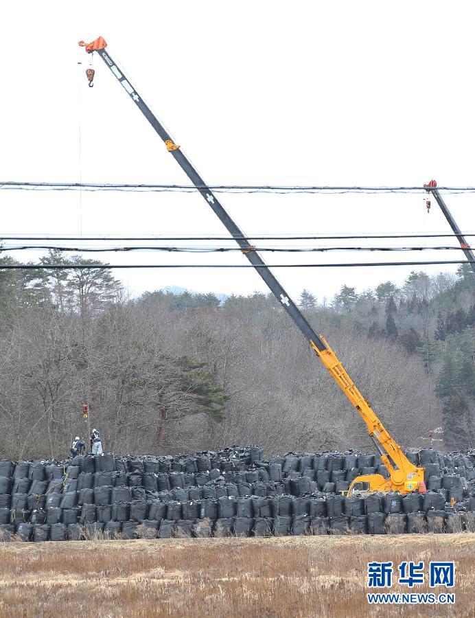 Black bags containing buildup of contaminated wastes are seen in the town of Iitate, Fukushima Prefecture, Japan, March 7, 2015. 