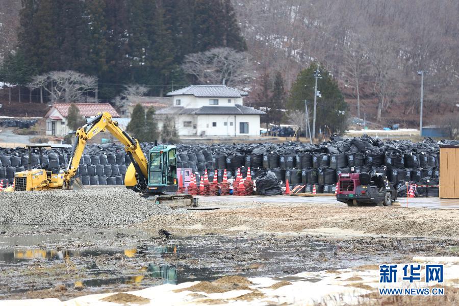 Black bags containing buildup of contaminated wastes are seen in the town of Iitate, Fukushima Prefecture, Japan, March 7, 2015.