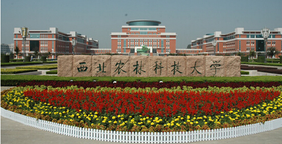 Northwest A and F University, one of the &apos;Top 10 Chinese universities with the highest transparency&apos; by China.org.cn
