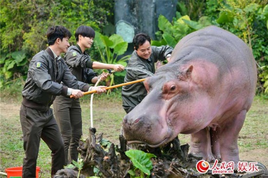 Screenshot of the program. (Photo/People's Daily)