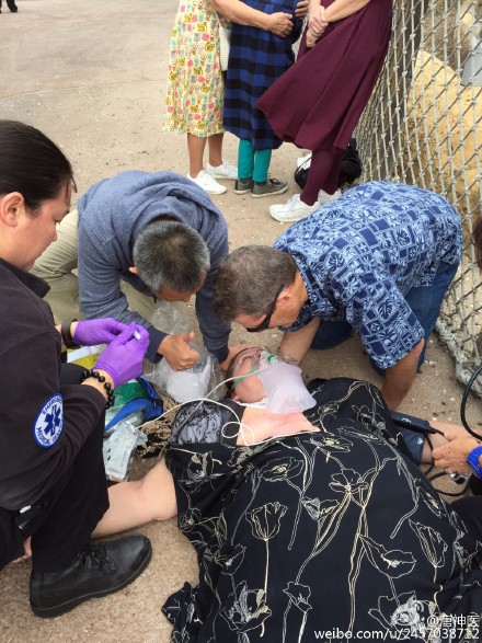 A Chinese tourist who is also a physician in the Emergency Department of Chaoyang Hospital in Beijing rescued an American woman who collapsed because of a sudden cardiac arrest at Sea World Adventure Park in San Diego, California, United States.