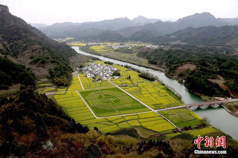 A gigantic Tai Chi symbol has been created in a canola field at the foot of Qiyun Mountain in the city of Huangshan in Central China's Anhui Province on March 24, 2015. [Photo: Chinanews.com]