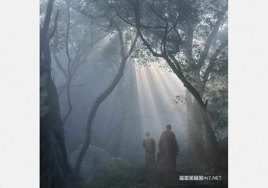 Buddha's Grace. The Buddha's light shines through the boundless universe; enlightening Zen messages emerge from tranquil woods. [Photo by Zhang Wang/photoint.net]