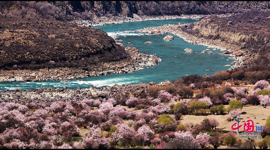 Stretching for more than 2,900 kilometers and as the river at the highest altitude in the world, the Yarlung Zangbo River is located in southwest China's Tibet Autonomous Region. The river is sourced in the Gyaimanezong Glacier in Zongba County, which is in the northern foothills of the Himalayas. It flows from west to east across the southern section of the Tibetan Plateau. [China.org.cn]