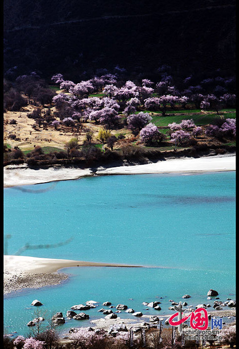 Stretching for more than 2,900 kilometers and as the river at the highest altitude in the world, the Yarlung Zangbo River is located in southwest China's Tibet Autonomous Region. The river is sourced in the Gyaimanezong Glacier in Zongba County, which is in the northern foothills of the Himalayas. It flows from west to east across the southern section of the Tibetan Plateau. [China.org.cn]