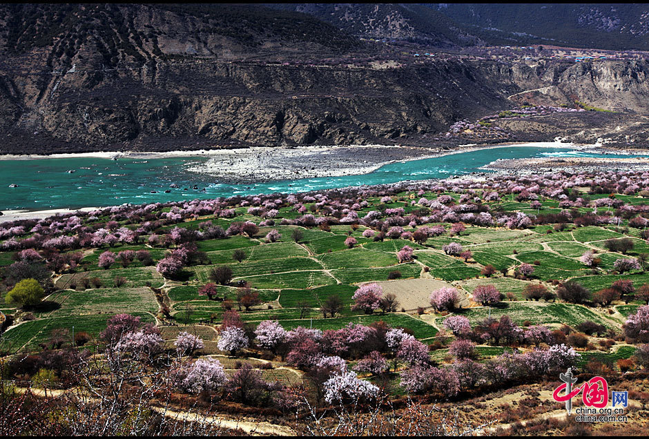 Stretching for more than 2,900 kilometers and as the river at the highest altitude in the world, the Yarlung Zangbo River is located in southwest China's Tibet Autonomous Region. The river is sourced in the Gyaimanezong Glacier in Zongba County, which is in the northern foothills of the Himalayas. It flows from west to east across the southern section of the Tibetan Plateau. [China.org.cn]