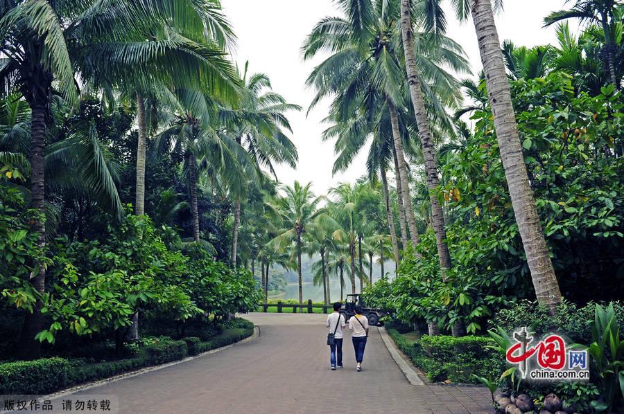 Located in Xinglong town, about one and a half hour's drive from Sanya in Hainan Province, Xinglong Tropical Botanical Garden was built in 1957. Covering an area of 400,000 square meters, it boasts 1,200 tropical plants. The botanic garden not only is an important agricultural base, but also a famous tourist spot. [China.org.cn] 