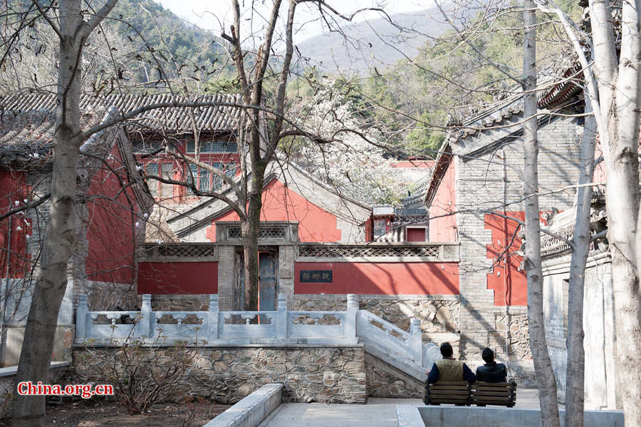 Flowers bloom and green leaves reappear on trees' twigs at Tanzhe Temple, a Buddhist monastery in Beijing's western suburb, in full spring on Thursday, April 2, 2015. [Photo by Chen Boyuan / China.org.cn]