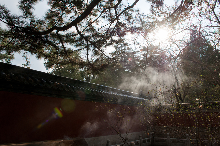 Flowers bloom and green leaves reappear on trees' twigs at Tanzhe Temple, a Buddhist monastery in Beijing's western suburb, in full spring on Thursday, April 2, 2015. [Photo by Chen Boyuan / China.org.cn]