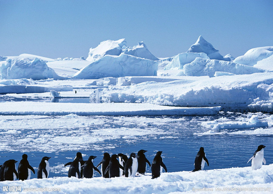 The beautiful scenery of Antarctica. [Photo: nipic.com]