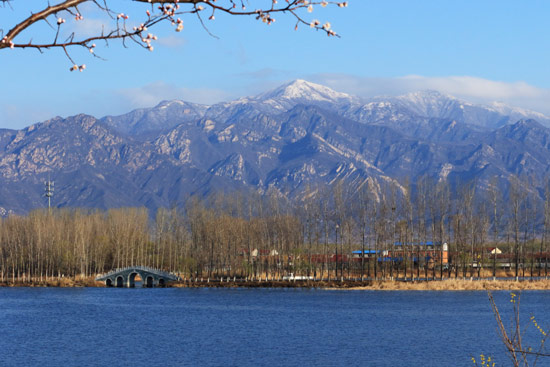 海陀戴雪图片