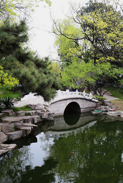 Beijing : les jardins de la Diaoyutai State Guesthouse au printemps