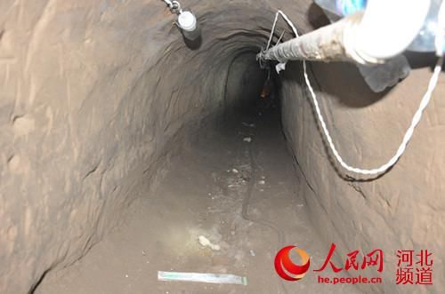 Five people have been arrested in north China's Hebei province for digging a tunnel in an attempt to steal antiques from a pagoda, said local police on Wednesday.