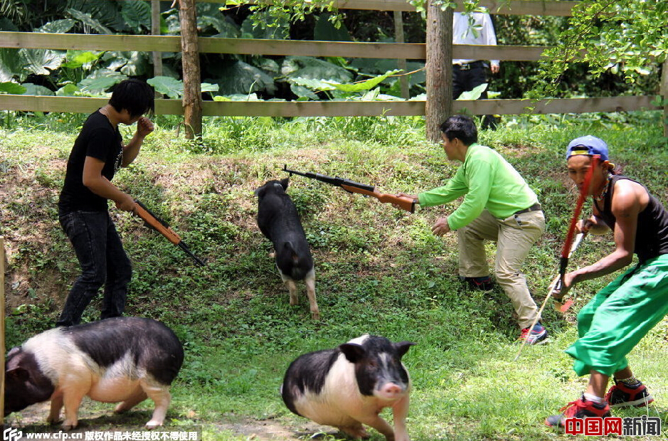 Staff at a scenic spot in Qingyuan, Guangdong, try to round up a runaway pig on April 22. 