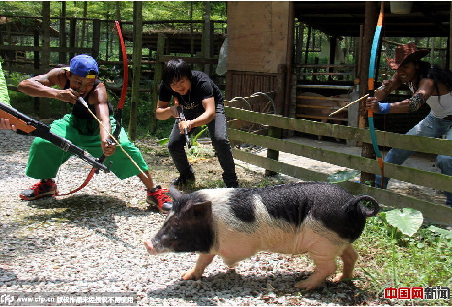 Staff at a scenic spot in Qingyuan, Guangdong, try to round up a runaway pig on April 22.