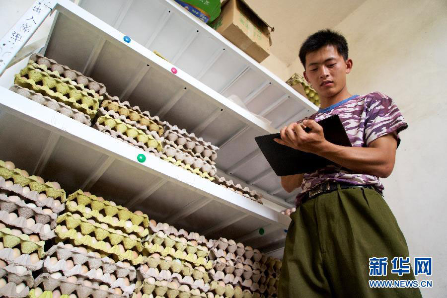 Liu Hubin, a graduate turned entrepreneur, counts the number of eggs before delivering them to the market on May 5, 2015. [Photo: Xinhua]