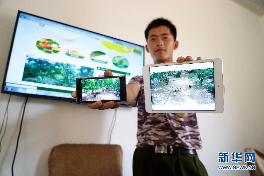 Liu Hubin demonstrates how to monitor the activities in the chicken farm through a smartphone and a tablet device on May 5, 2015. [Photo: Xinhua] 