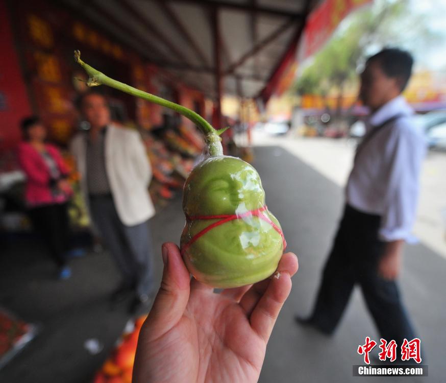 5月7日，新疆乌鲁木齐市北园春干鲜果批发市场摊点上正在销售的“人参果”吸引不少消费者。“人参果”用塑料薄膜包裹，个头高10厘米左右，五官俱全，胸前和背后印有“福”或“寿”字。据当地蔬菜研究专家介绍，“人参果”是茄科植物，是一种水果，可以食用，味像甜瓜，之所以有娃娃等不同形状，是因为在栽培过程中采用了套模手法。[中新社 刘新 摄]