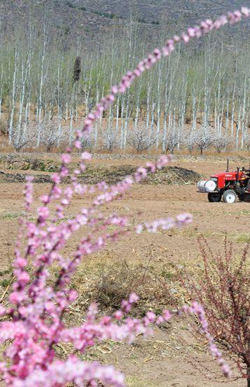 Beijing : le labourage printanier est en cours