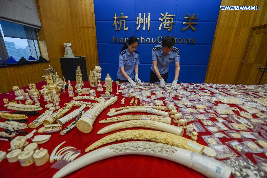 Photo taken on May 18, 2015 shows smuggled artworks made of ivory seized by members of Hangzhou Customs, in Hangzhou, east China's Zhejiang Province. Hangzhou Customs announced Thursday that they have seized over 270 kilograms smuggled ivory and about 9 kilograms rhino horn since June last year.