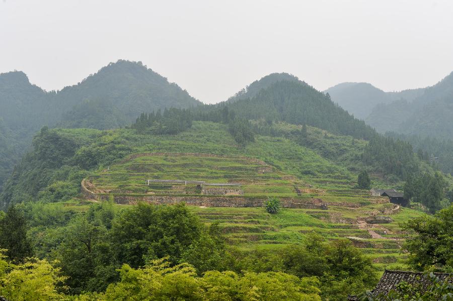 Photo taken on July 3, 2015 shows Laosicheng site in Yongshun, central China's Hunan Province. 