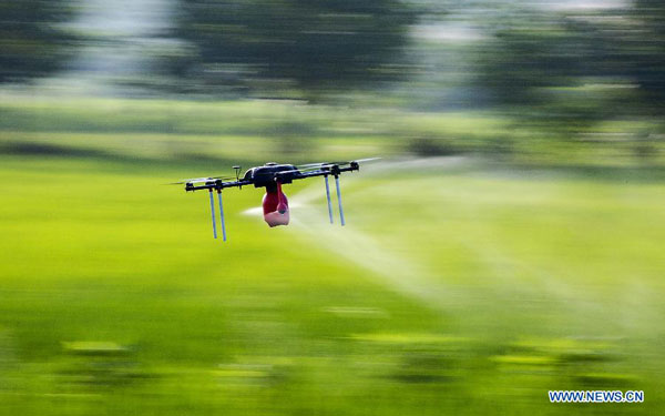 An unmanned aerial vehicle sprays pesticide in Shanfeng Village of Duchang County in Jiujiang City, east China's Jiangxi Province, July 2, 2015. [Photo: Xinhua]
