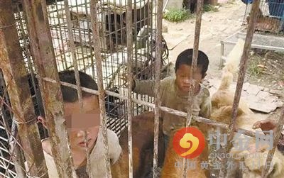 The undated photo shows the children living in the dog kennel prior to being rescued. [Photo: cngold.com.cn]