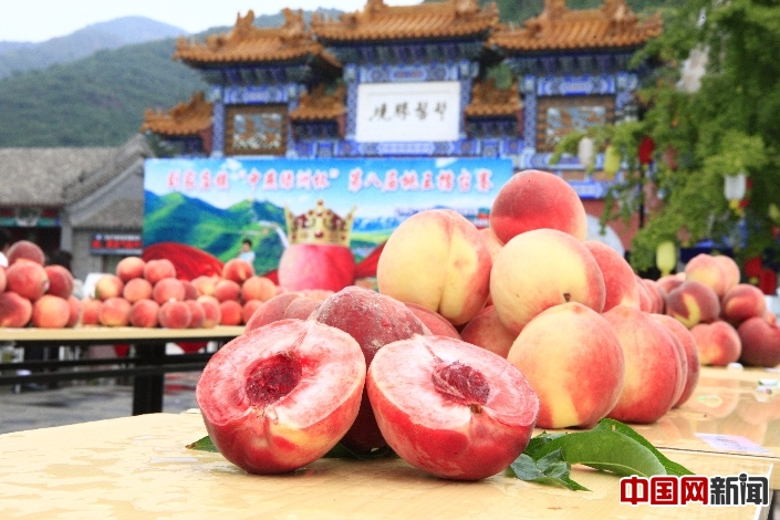 平谷区刘家店镇举办第八届桃王擂台赛