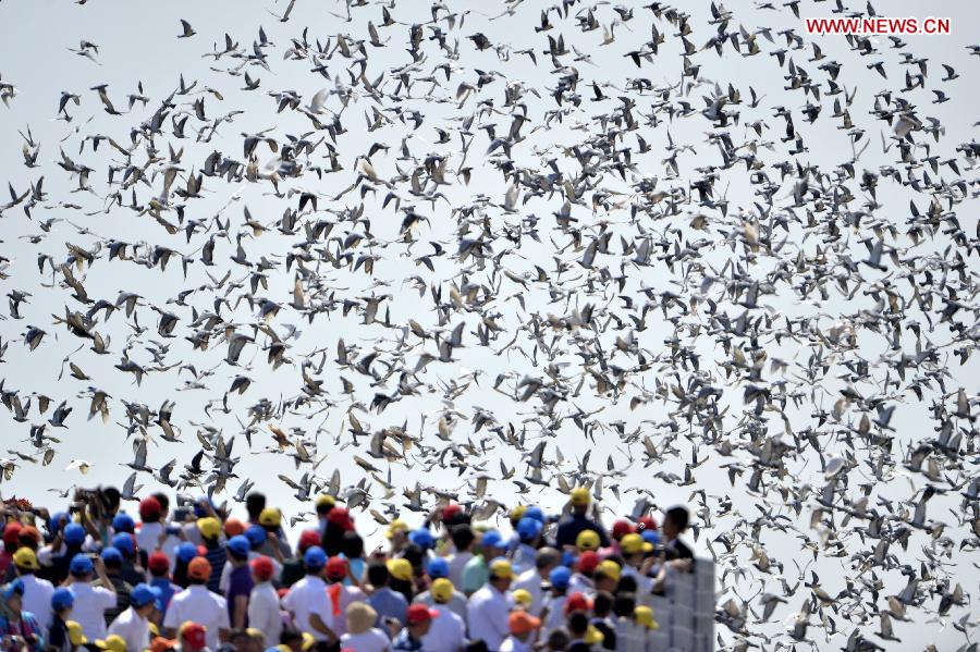 Pigeons are released at the end of the commemoration activities marking the 70th anniversary of the victory of the Chinese People&apos;s War of Resistance Against Japanese Aggression and the World Anti-Fascist War, in Beijing, capital of China, Sept. 3, 2015. [Photo/Xinhu]